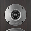 Premiera DS-501 Mocca_4
